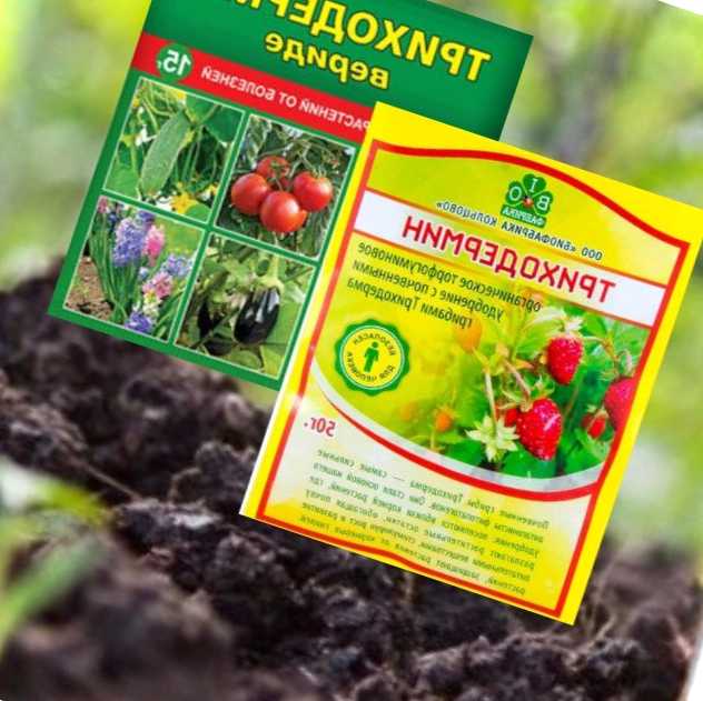 Триходерма веріде інструкція із застосування для рослин на дачі