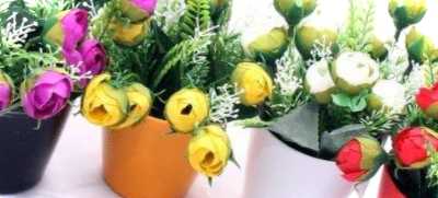 Як доглядати за квіткою в типі догляду та сортів рослин