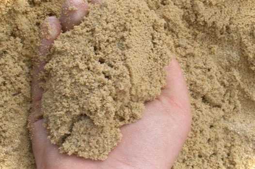 Піщаний сад які квіти та трави ростуть на піщаному ґрунті, що вирощувати