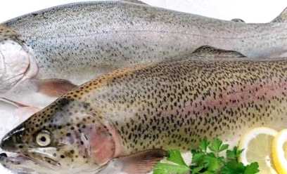 Як запекти форель у духовці, щоб була соковитою та смачною