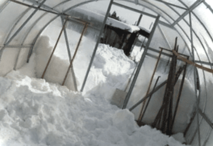 Підготовка теплиці з полікарбонату навесні до нового сезону