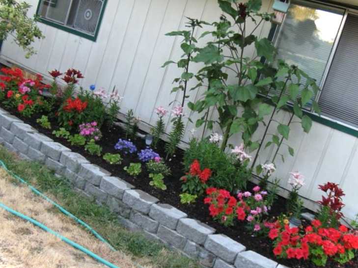 Клумба під вікном на дачі своїми руками творіння для насолоди