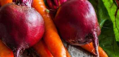 Допомога у зростанні та розвитку ніж підгодувати моркву та буряк у липні?