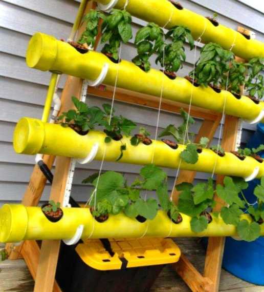 Навіщо потрібна підвісна грядка для полуниці? У чому її користь та як зробити?