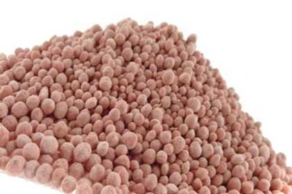 Мінеральне добриво азофоску в яку пору року використовувати?