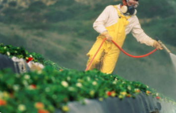 Пестициди та хімічні добрива застосування та запобіжні заходи