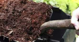 Чим обробити компостну купу від хвороб? Як позбутися личинок та опаришів?