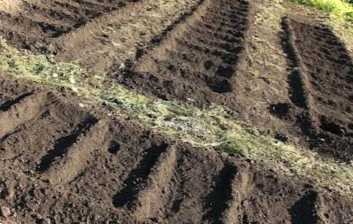 Грядки на дачі. Як зробити огорожу з пластикових пляшок