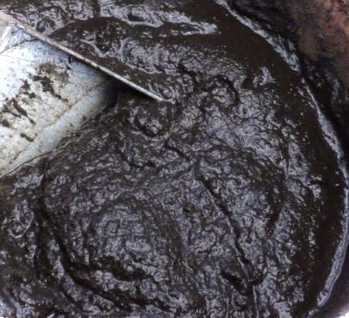 Добриво з дна озера. Сапропель фото, види, характеристики