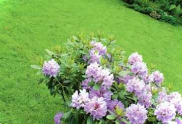 Як зробити своїми руками матеріали, технологія