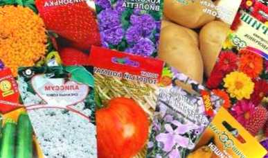 Коли краще купувати насіння овочів правила вибору хорошого насіння