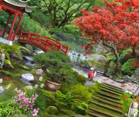 Садок в японському стилі які рослини використовувати і як висаджувати