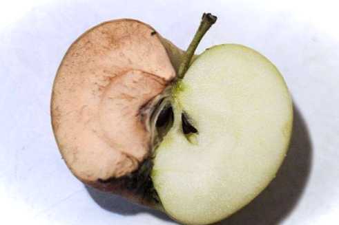 Основні причини чому яблука псуються і темніють усередині (фото)