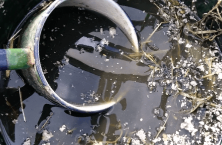 Рідкі органічні добрива для підживлення овочів - як приготувати та застосовувати